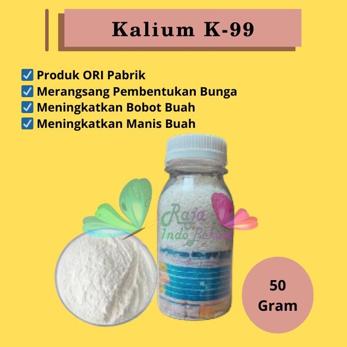 Raja Indo Ori Pupuk Kalium K-99 Pemanis Dan Pembesar Buah Umbi Bulir Brix