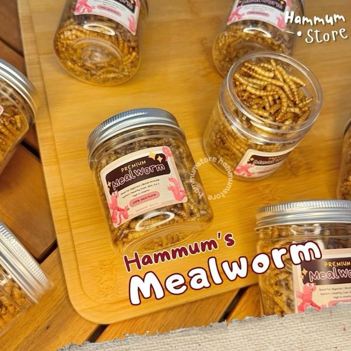 MEALWORM Ulat Hongkong Kering Makanan Hamster Burung Reptil Ulat Kering Protein Snack Hamster