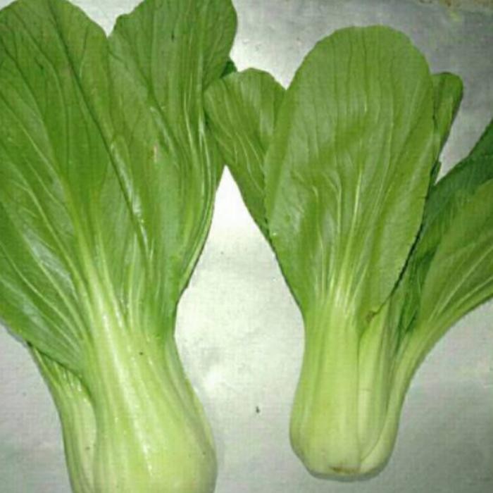 

New pakcoy 1kg