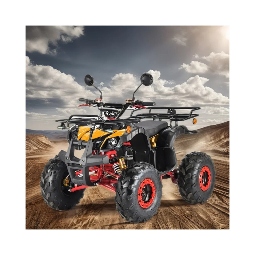 Customization Big Power Atv Side By Side Beach ATV 3000w Mini Electric Atvs With EEC Certificate In