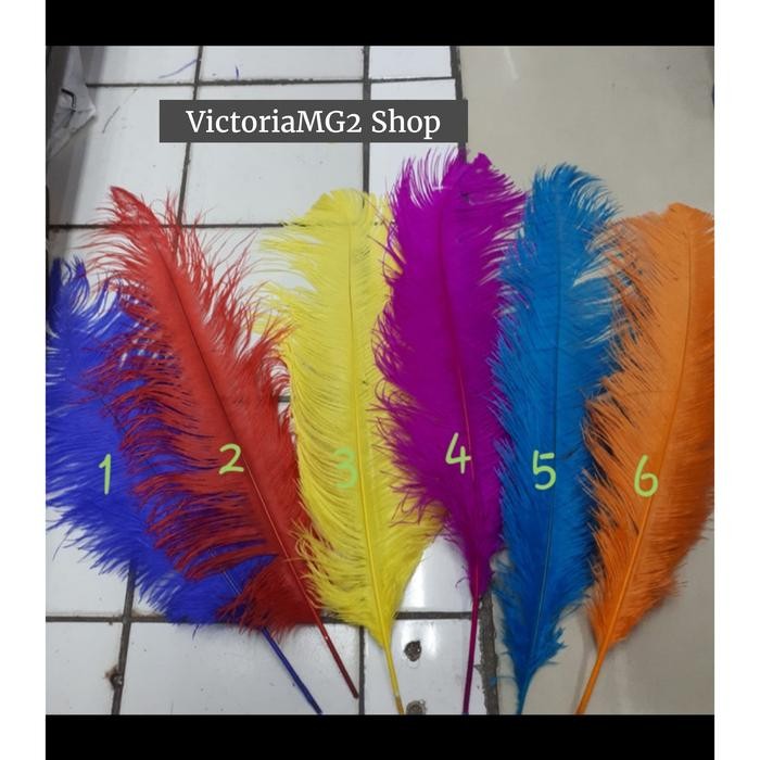 Bulu Kasuari Ostrich Dekorasi 55-60 cm