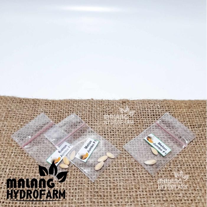 Tn Benih Melon Jingga Jumbo F1 Unggulan Berkualitas Biji Bibit Repack Bintang Asia Orange Manis