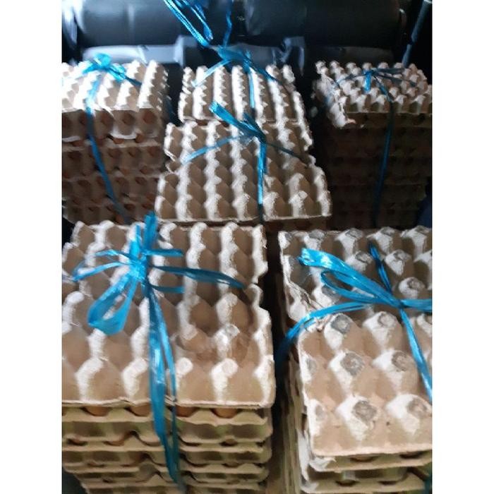 

(Expert) Telur Ayam Omega 3 1kg