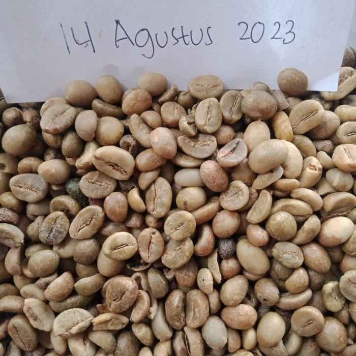 

(Expert) Green Beans Robusta Malang - Gunung Kawi - 1000 gr - Asalan