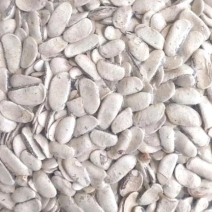 

(Expert) Biji Mahoni Kupas 500 gram - Biji Buah Mahoni Kupas