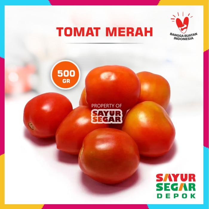 

New Tomat sayur / Buah tomat