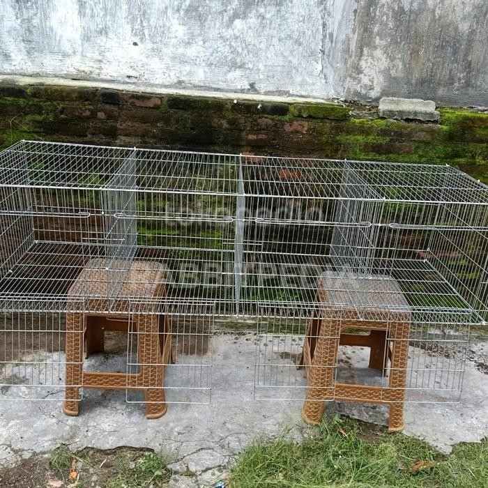 KANDANG KELINCI GALVANIS 4 HOLE