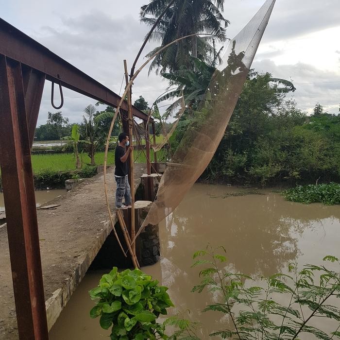 jaring anco penangkap ikan tradisional (lubang 3/8 inchi)
