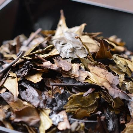 

Iribancha / Kyobancha Loose Leaf (80g)