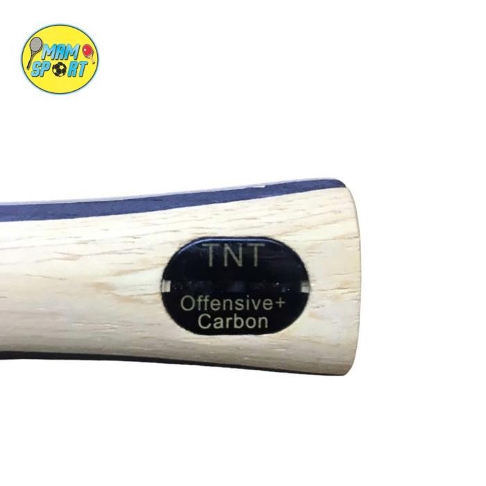 Kayu Bet Bat Tenis Meja Pingpong Palio Tnt Fl Original