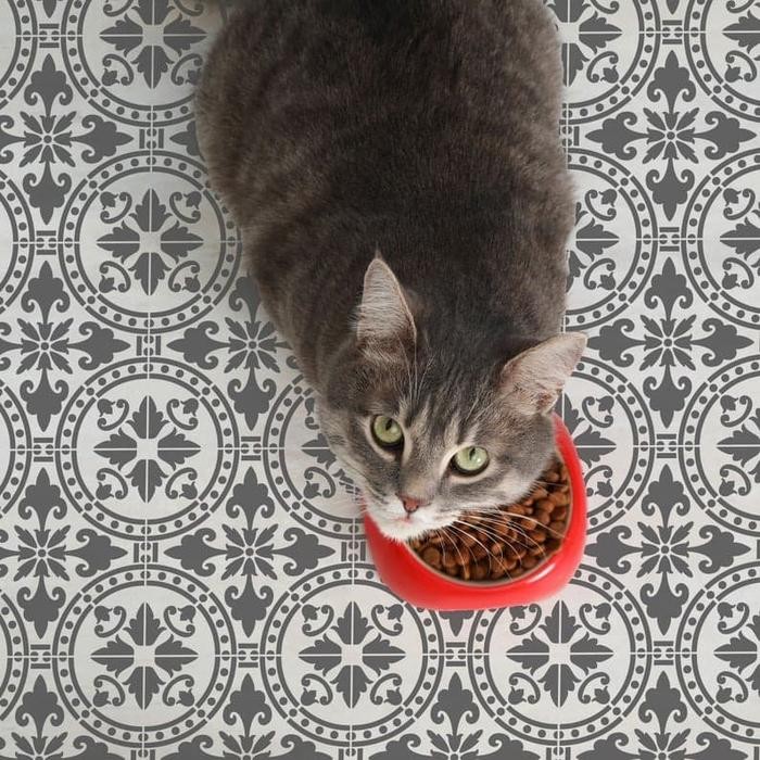 

Stencil Lantai Motif 21