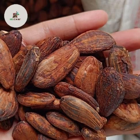 

NEW! FERMENTED COCOA BEAN 1 KG