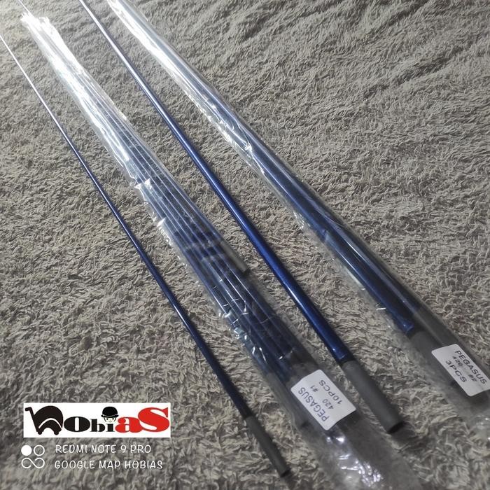 Ruas 1 dan 2 joran pancing surf orca pegasus 420 dan pegasus extra 420