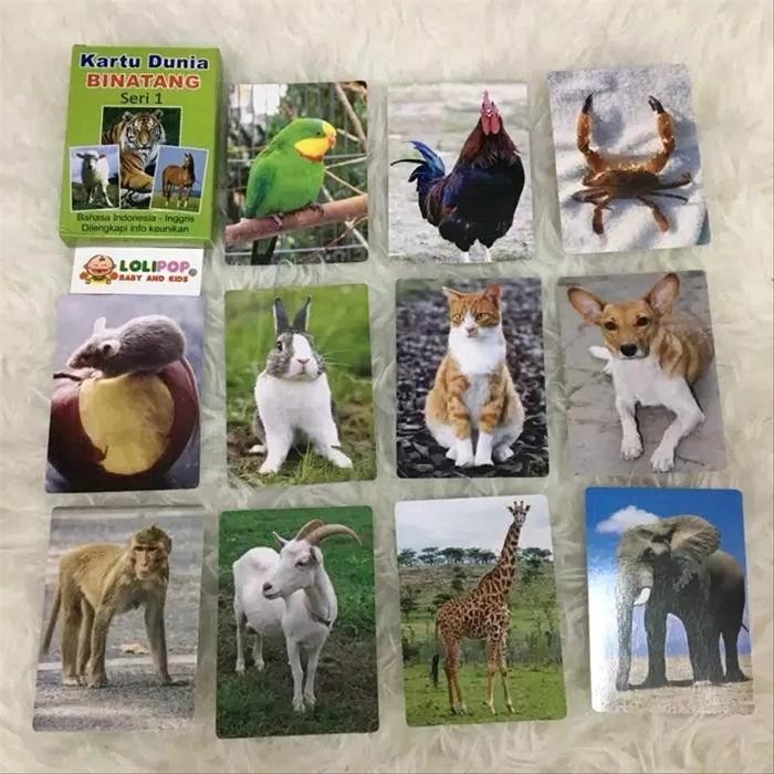 (Allthebest) Kartu Binatang Seri 1 Flash Card Bayi Murah Hewan - Mainan Edukasi Ana