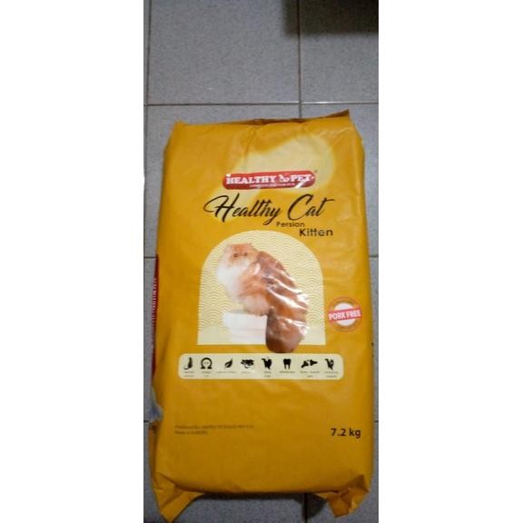 Healthy cat persian kitten 800 gram