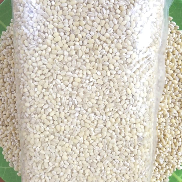 

IOI2 Biji Jali - Jali Import Product Of Holland Kemasan Netto 1Kg