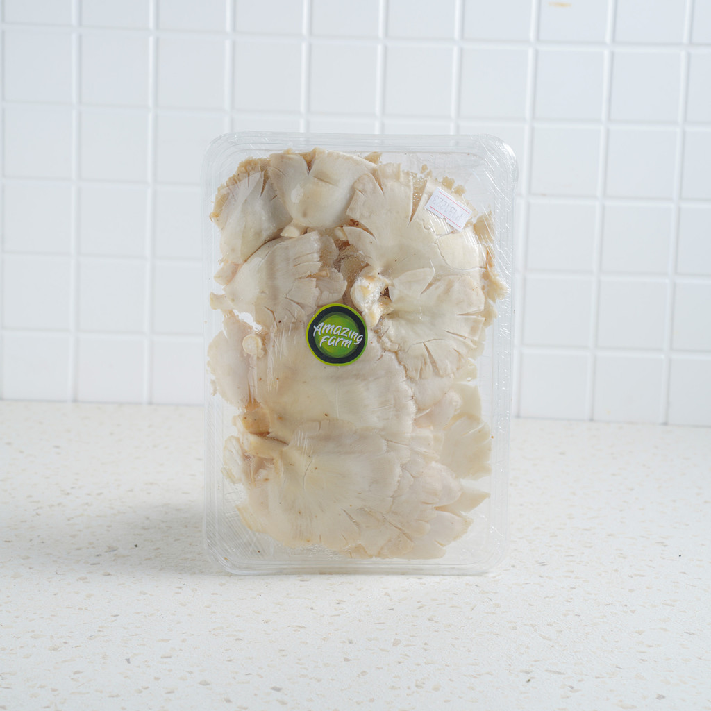 

Amazing Farm Jamur Tiram Konvensional 1 pack