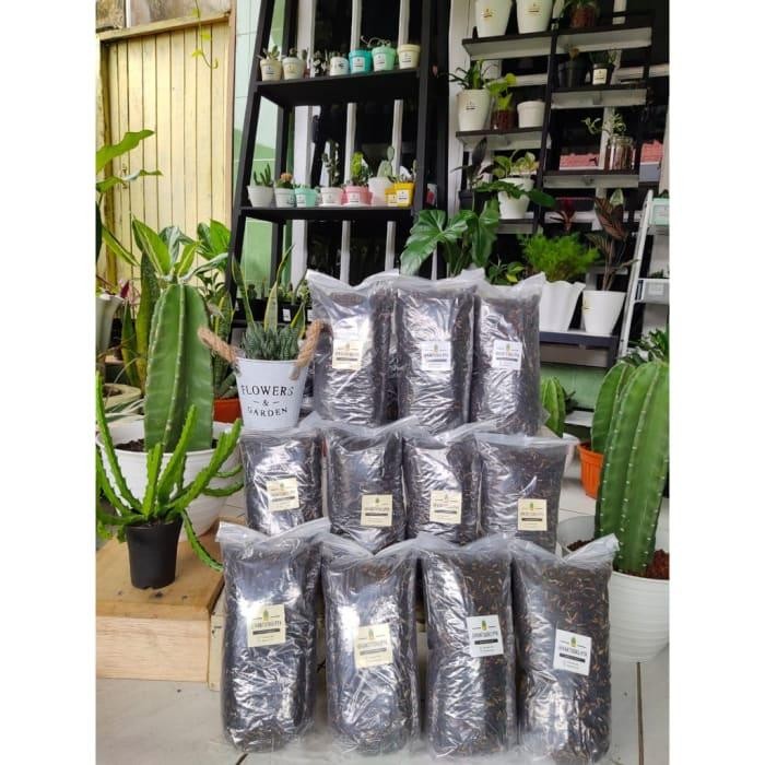 Mode Vintage Media Tanam Kaktus - Tanah Pasir Malang Arang Sekam 1Kg Birkse 6771Jo