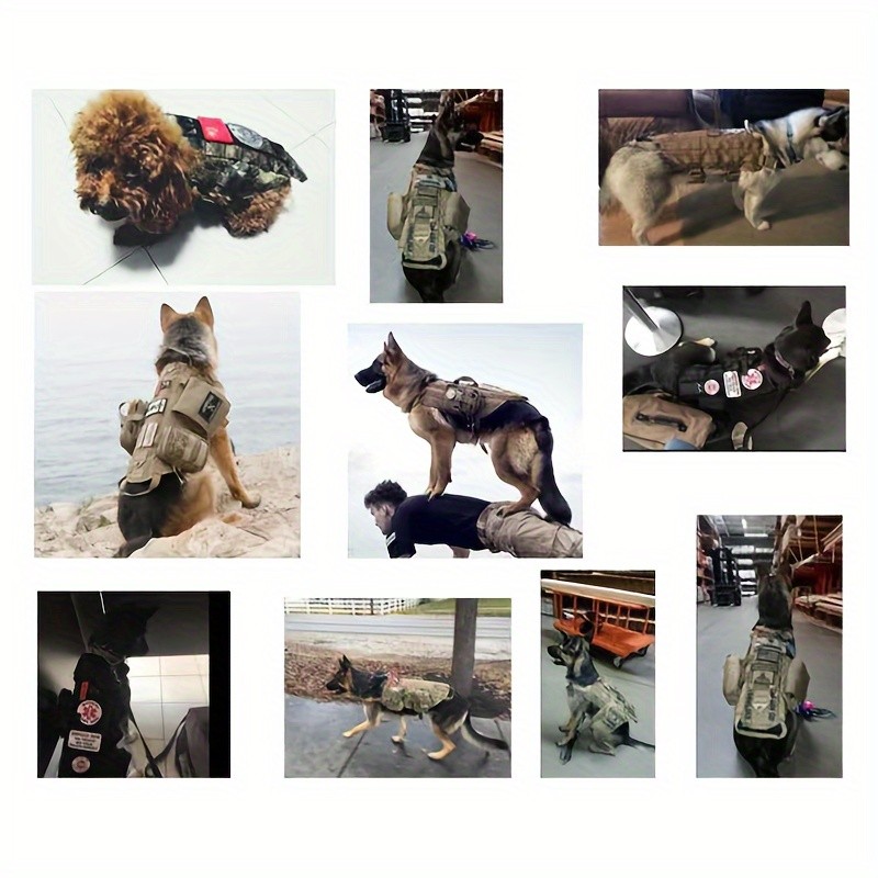 

DGEV4pcs Dog/Pet Carrier belt Dog vest safety harness for large and medium dogs, no-pull adjustable