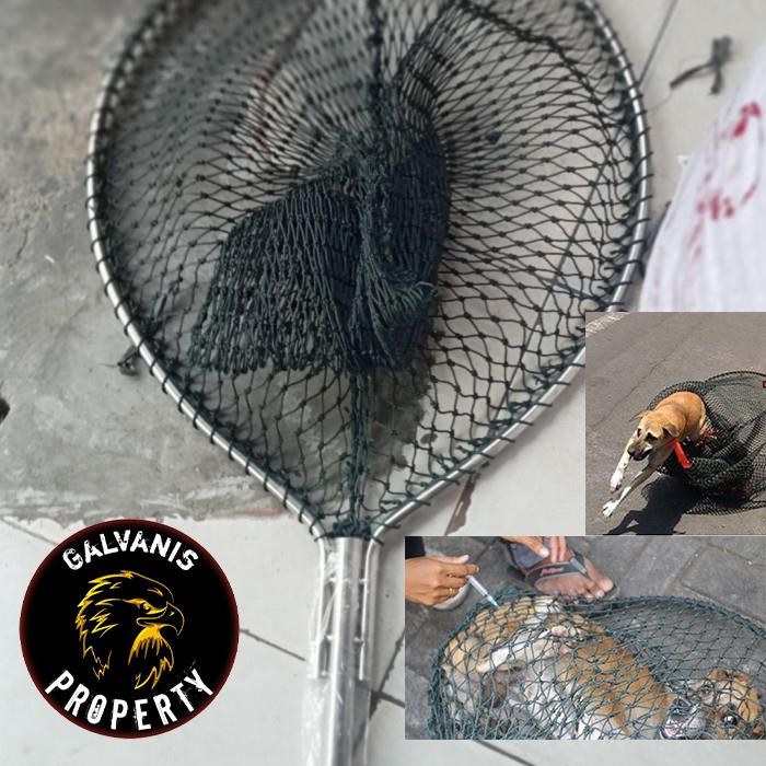 Artero Petzo - Jaring Tangkap Anjing/Kucing/Luwak/Musang/Jaring Perangkap Ayam Hutan