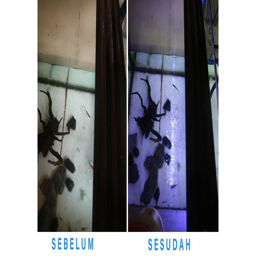 LAMPU AQUARIUM AQUASCAPE LED 60 CM MURAH TAHAN AIR 2 WARNA 15 WATT