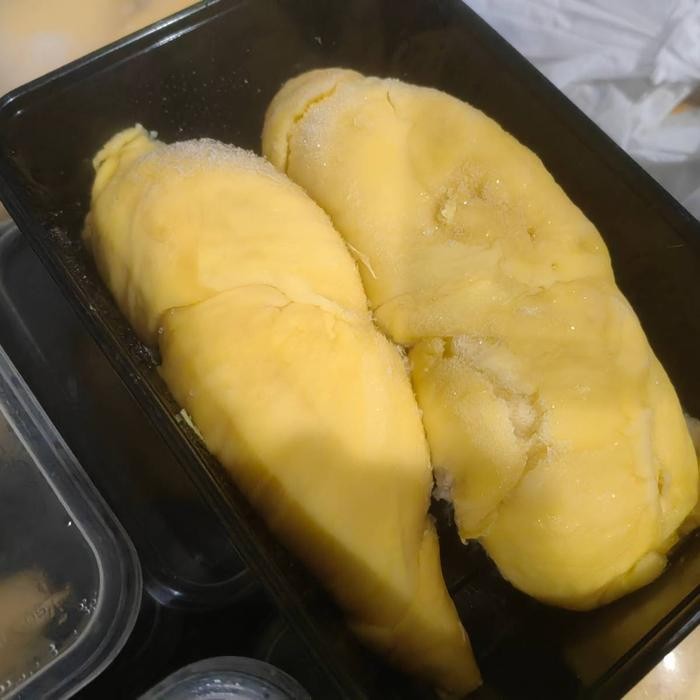 

TERMURAH durian montong palu premium READY STOCK