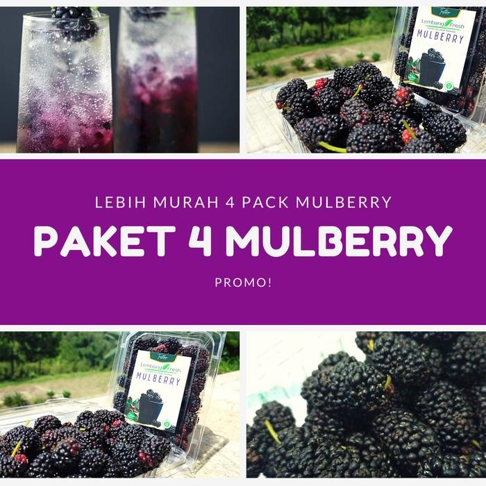 

ORIGINAL Paket hemat 4 Mulberry Fresh Lembang Bandung READY STOCK
