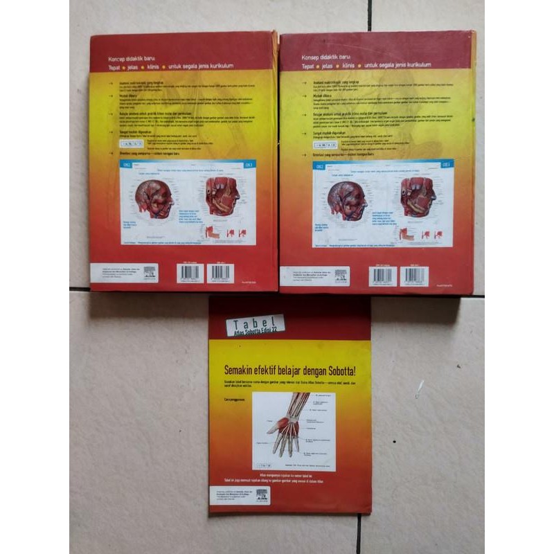 Bisa Gosend Buku Kedokteran Atlas Anatomi Manusia Sobotta Edisi 22 Jilid 1 & 2