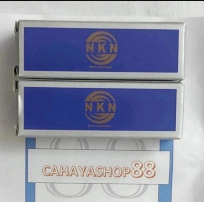 Sn 520 Housing Bearing Merk Nkn