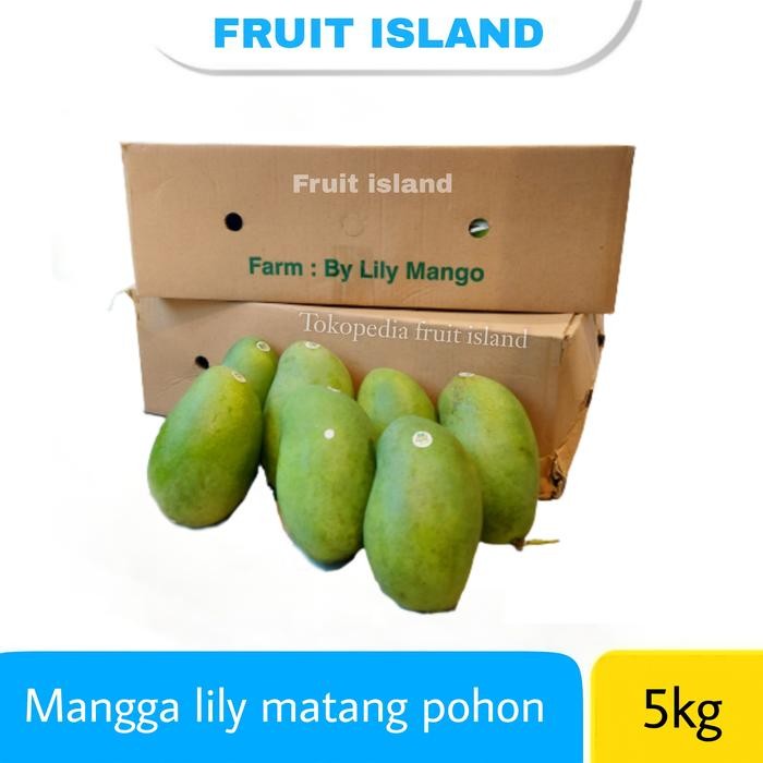 

SIAPKIRIM Mangga lily masak pohon 5kg original READY STOCK