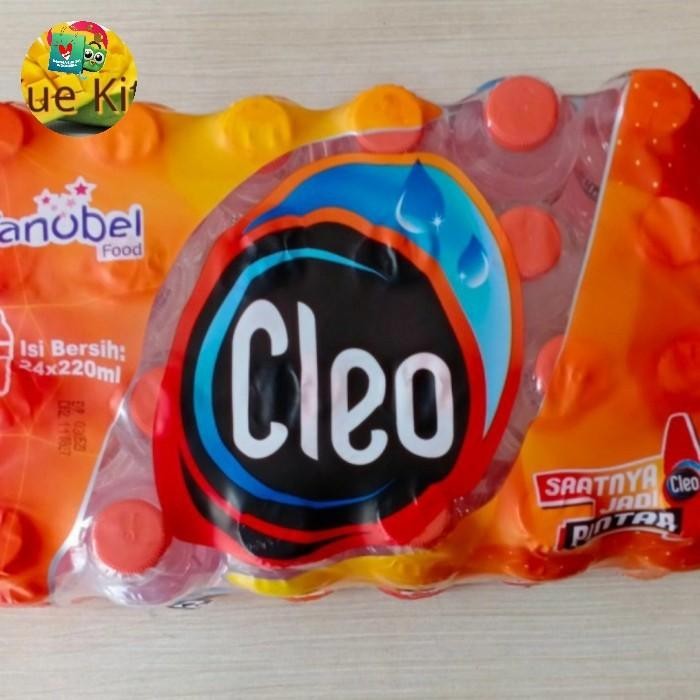 

(Allthebest) Cleo air mineral botol kecil (24x220ml)