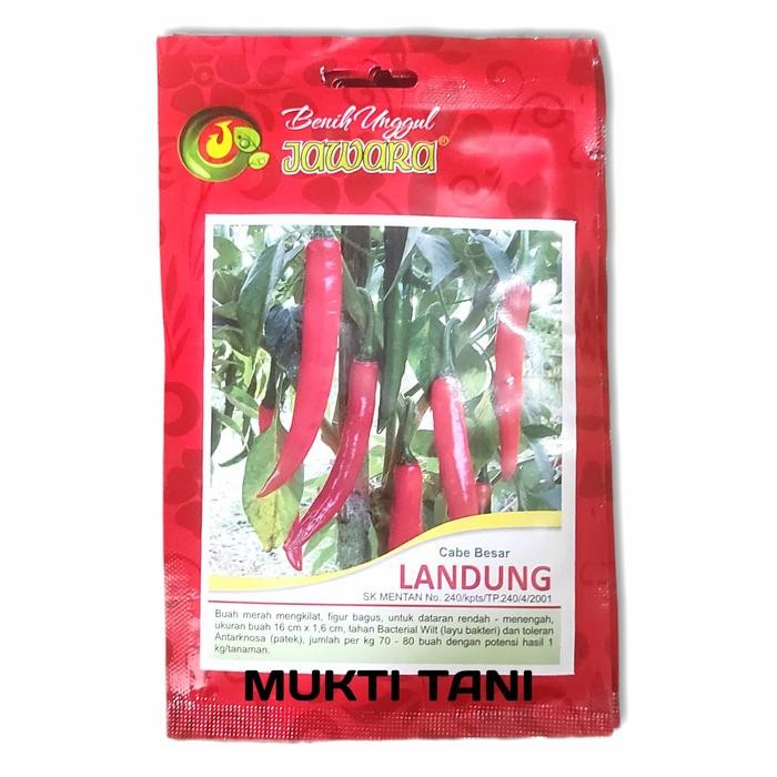 Benih Cabe Merah Besar Landung 10 gr Bibit Cabe
