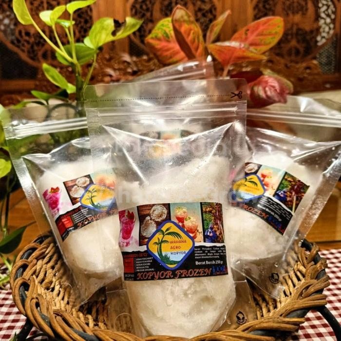 

TERLARIS Kelapa Kopyor Frozen/Beku Asli ( KOPYORI ) READY STOCK