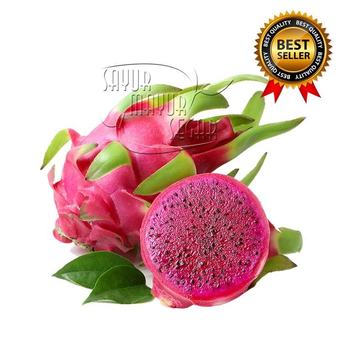 

ASLI Buah Naga Merah Premium Fresh (Grosir / Eceran ) READY STOCK