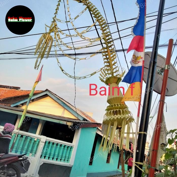 Terlaris Janur Kuning Pernikahan Jumbo