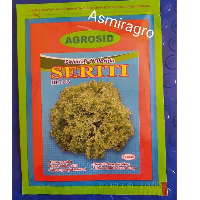 benih selada f1 hibrida seriti lobkri 9601vl