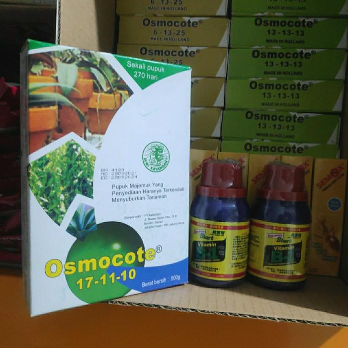 Osmocote Dekastar 17-11-10 500gr