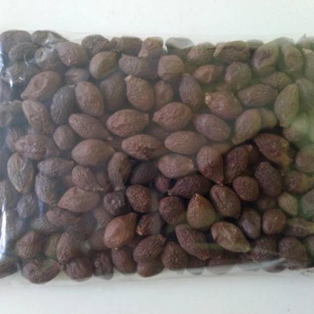 

ORIGINAL Buah Tempayang 100gr / Biji Kembang Semangkuk READY STOCK