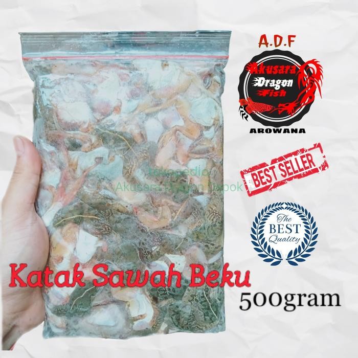 TERSEDIA KODOK BEKU KATAK SAWAH FROZEN PAKAN IKAN PREDATOR