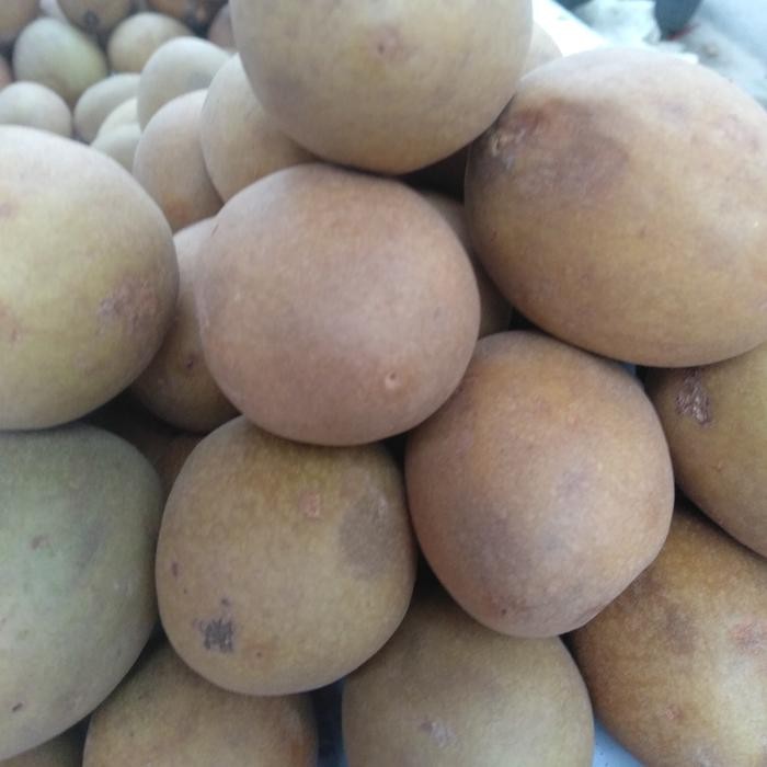 

ORIGINAL Buah Sawo Fresh Manis Uk. sedang 1kg READY STOCK