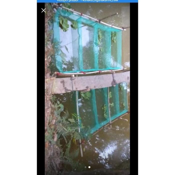 Keramba Ikan Jaring Hapa Ikan Sekat 2X1X1 Karamba Ikan Siap Pakai