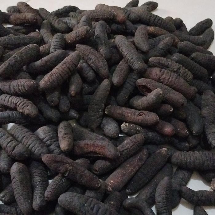 

Teripang Kering/Haisom Kering/Haisen/Gosok/Belitung Isi 40-50Ekor/1Kg Best Seller