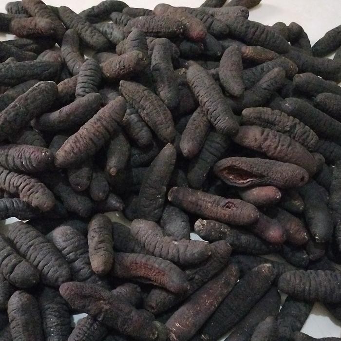 

Teripang/Haisom/Hoisem/Gosok/Belitung Uk 25-30Ekor/1Kg Best Quality Asli 100% Original