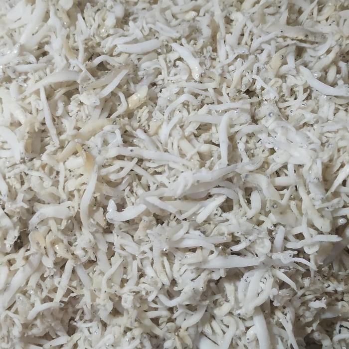 

Ikan Asin Teri Medan Bersih 500Gr 100% Halal Best Quality Asli 100% Original