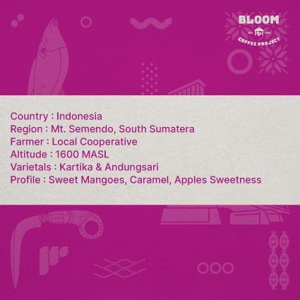 

Biji Kopi Semendo - Semendo - Classic Natural - Specialty Grade Coffee Green Beans Best Quality Asli