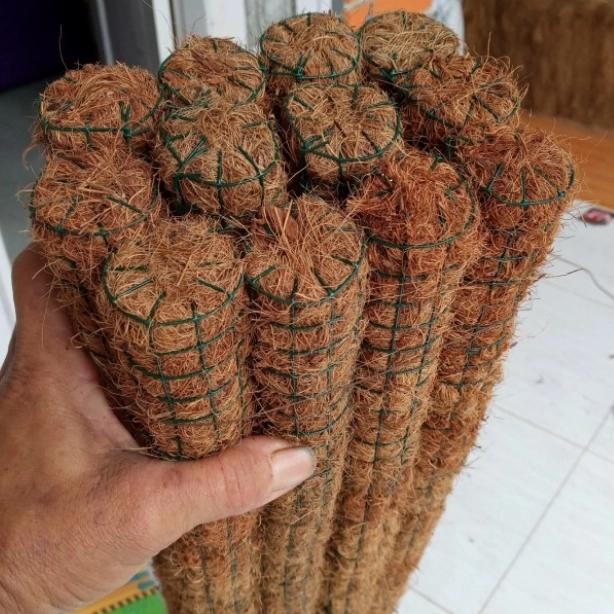 Paketan turus 1 lusin ukuran 1 Meter.