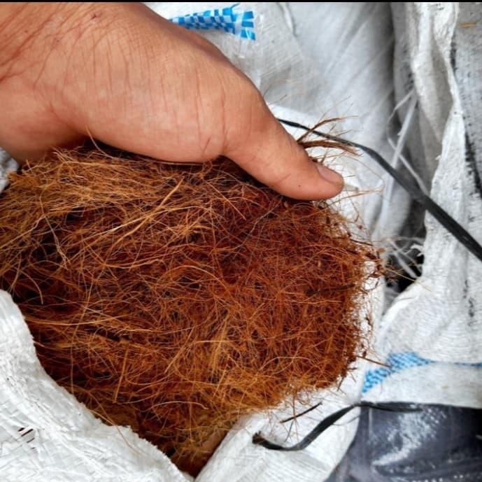 cocofiber sabut kelapa karungan - media tanam cocofiber sabut kelapa