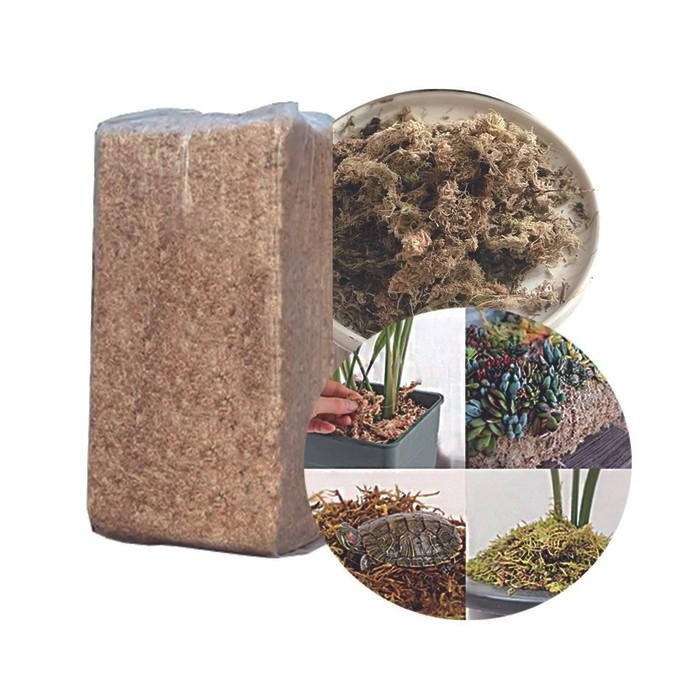 Sphagnum Moss Chile Premium 1 Kg