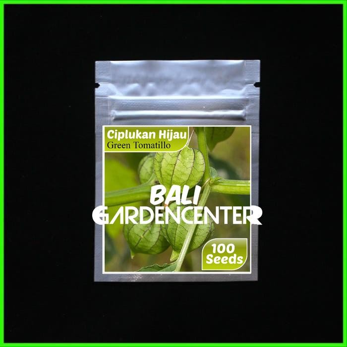 BENIH BIJI CIPLUKAN - CIPLUKAN HIJAU