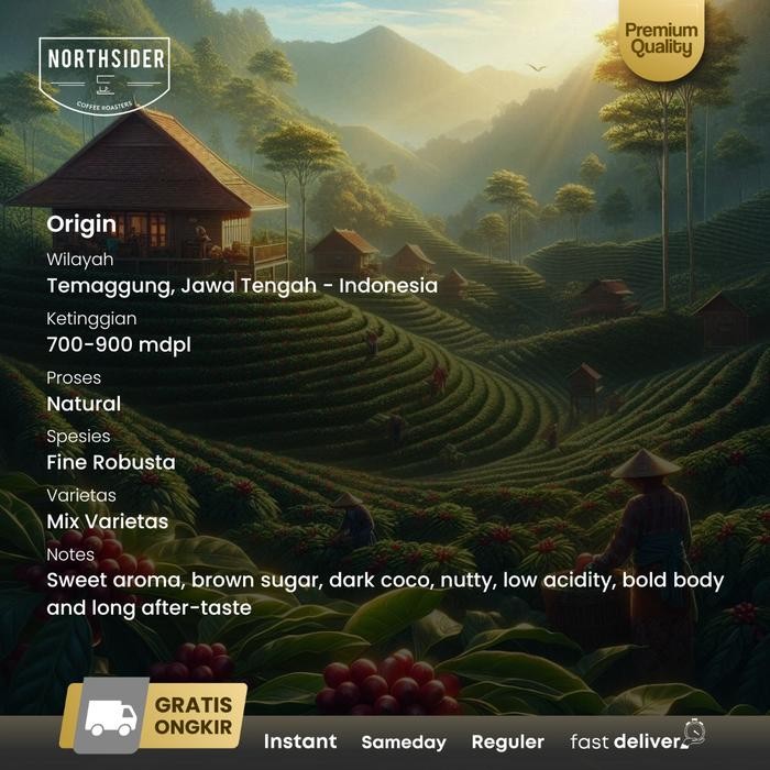 

NORTHSIDER KOPI ROBUSTA FINE JAVA TEMANGGUNG NATURAL COFFEE